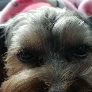 Meet your Posher, Lori